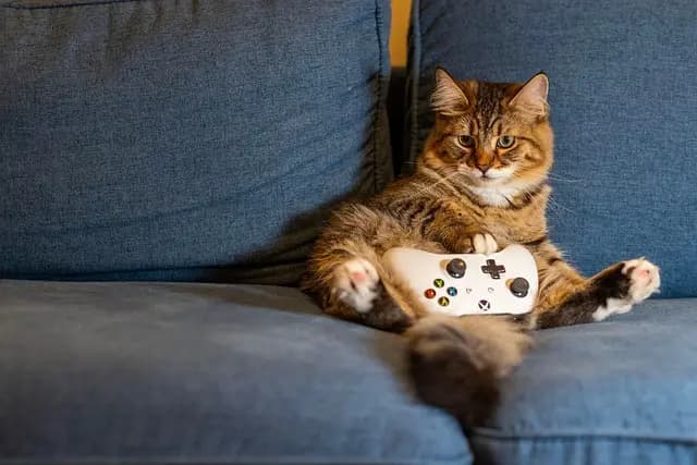 Les Meilleurs Jeux Gratuits en Ligne : Top Sélection 2026