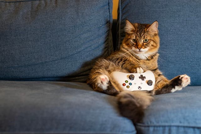 Les Jeux Gratuits en Ligne à Ne Pas Manquer en 2026